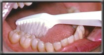 brushing lower molars example picture